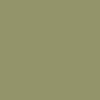 Pistachio-Green