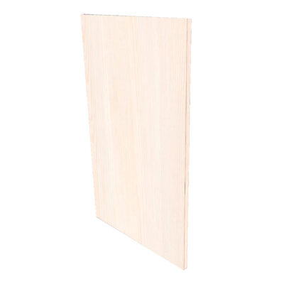 Türfront FAKTUM B50Hx92cm - moscow-ash